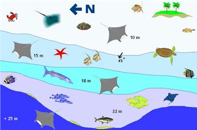 Ahivahfushi Beyru